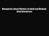 [PDF] Managerial Labour Markets in Small and Medium-Sized Enterprises Download Online