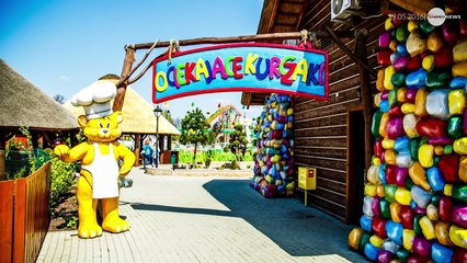 ENERGY NEWS - 29. WYDANIE