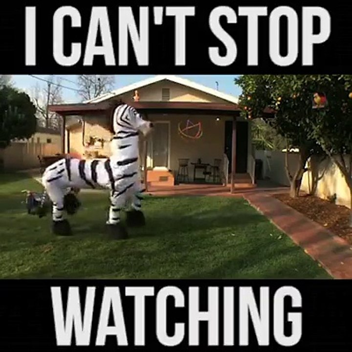 I Bet You Cant Stop Your Laugh.. 100%