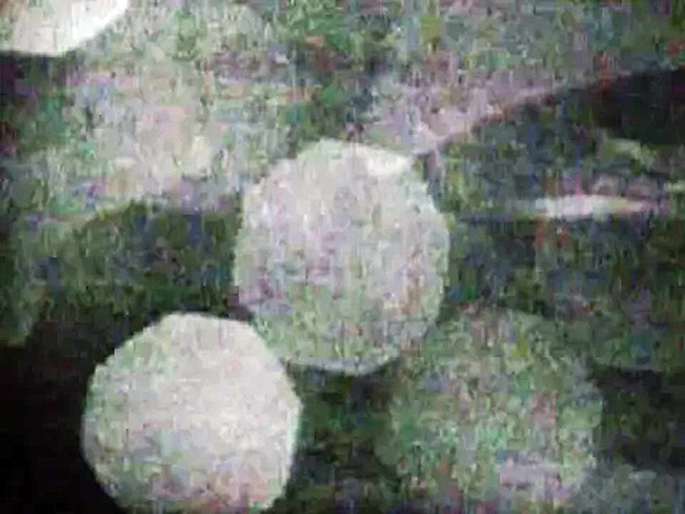 Serge Reggiani - Enivrez-vous - Poème de Baudelaire   19