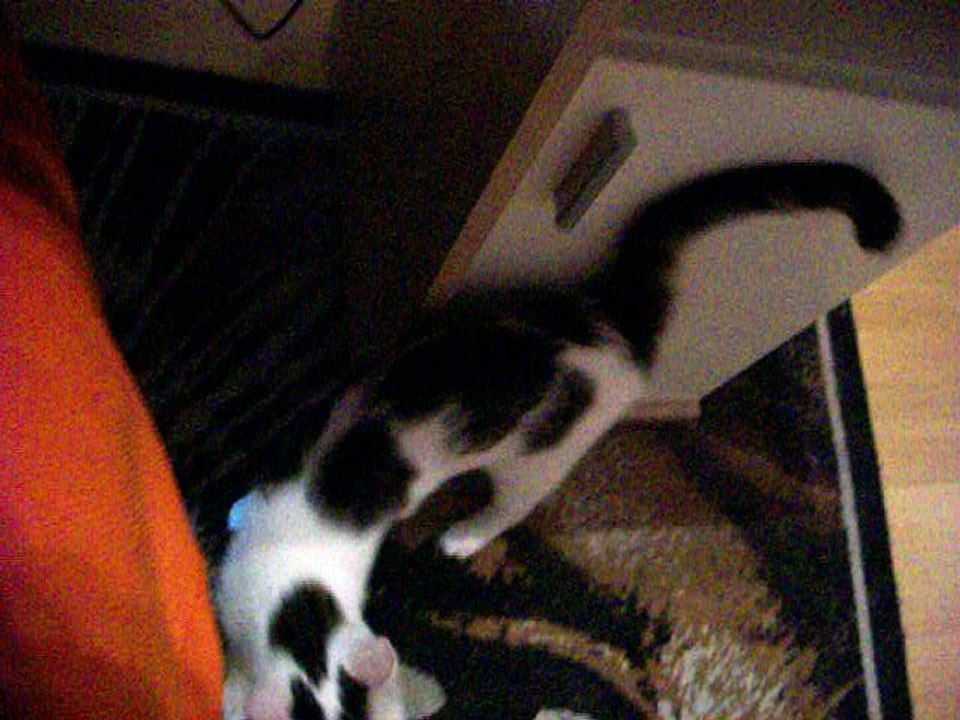 Vinzent am 14.07.2016