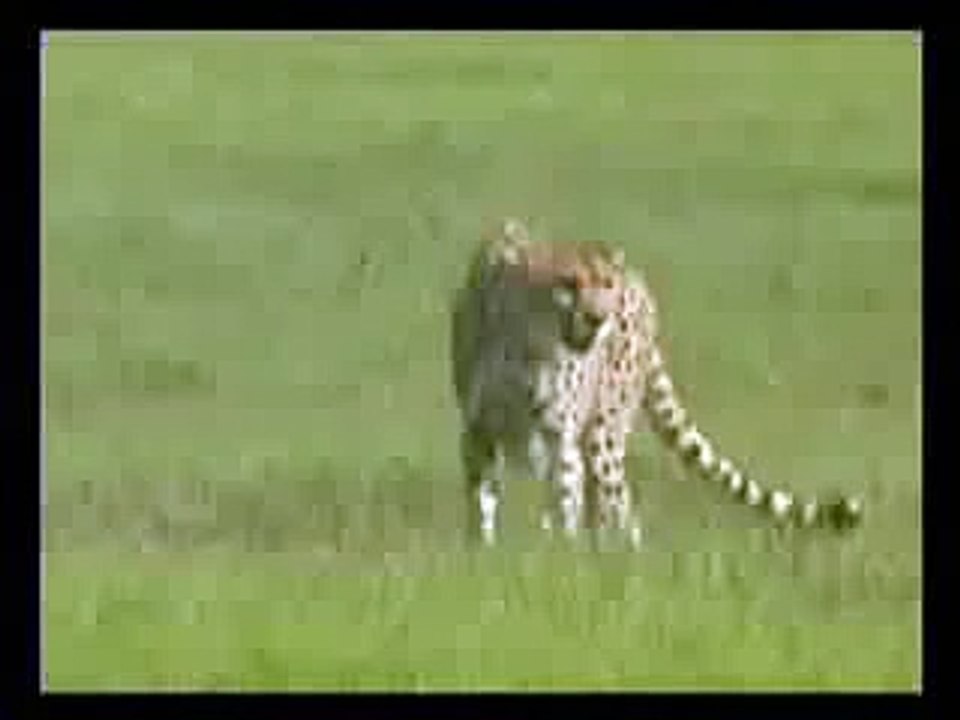 Dan Burisch and Stargate Pt. 1 of 13