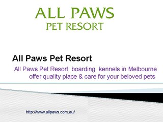 All Paws Pet Resort