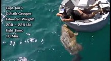 Il attrape un poisson monstrueux sur son ultraskiff 360 en pleine mer