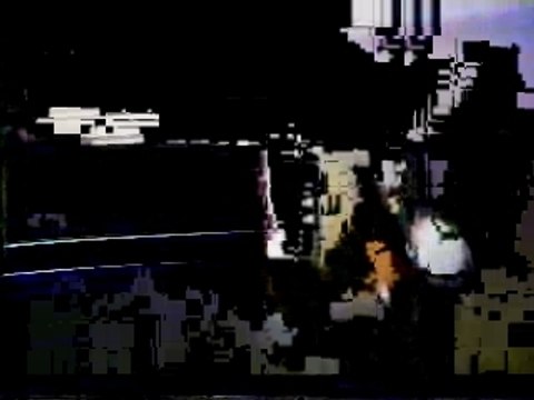 elvis: Macon june1-'77:stuffed flowers, animals, paintings,