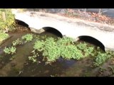 Napoli/Salerno - Il Sarno tra i fiumi più inquinati d'Europa (13.07.16)