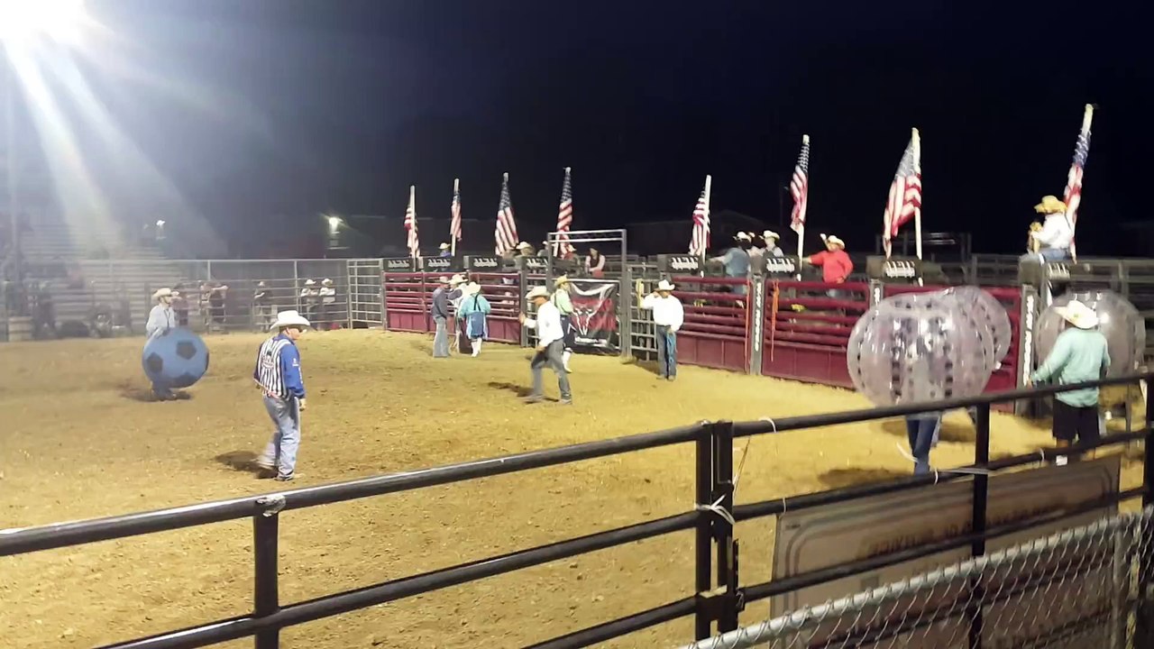 Des rodéos d'un nouveau genre qui ne blessent pas les taureaux