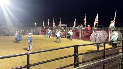 Des rodéos d'un nouveau genre qui ne blessent pas les taureaux
