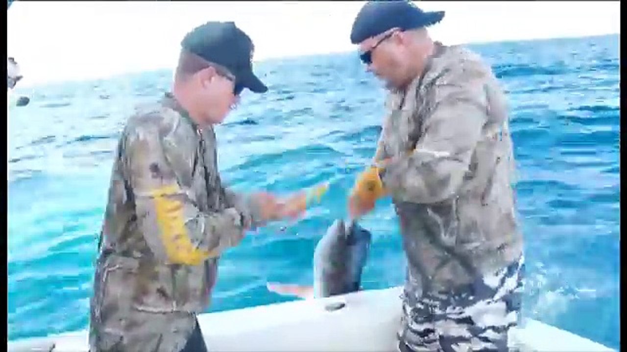 Miami Deep Sea Fishing