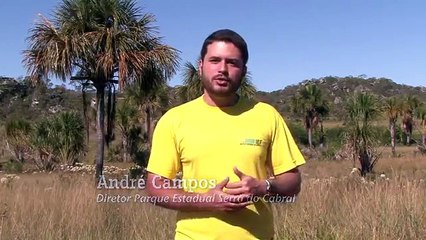 27 5   serra do cabral   beltrao