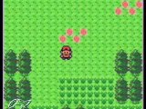 Pokemon Silver/Gold/Crystal - Route 29