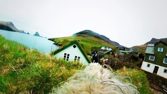 Aux îles Féroé, Google street view s'appelle sheep view