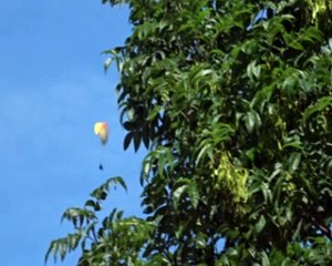 Parachutes dans les Pyrénées