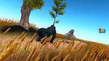 Dinosaurs 3D Animated Short Movie _ Dinosaurs Cartoons For Children|NoneTV