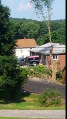 Cette femme filme son voisin qui coupe un arbre dans son jardin, quand soudain… C'est la catastrophe