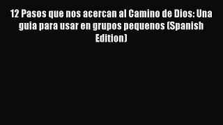 Read 12 Pasos que nos acercan al Camino de Dios: Una guia para usar en grupos pequenos (Spanish