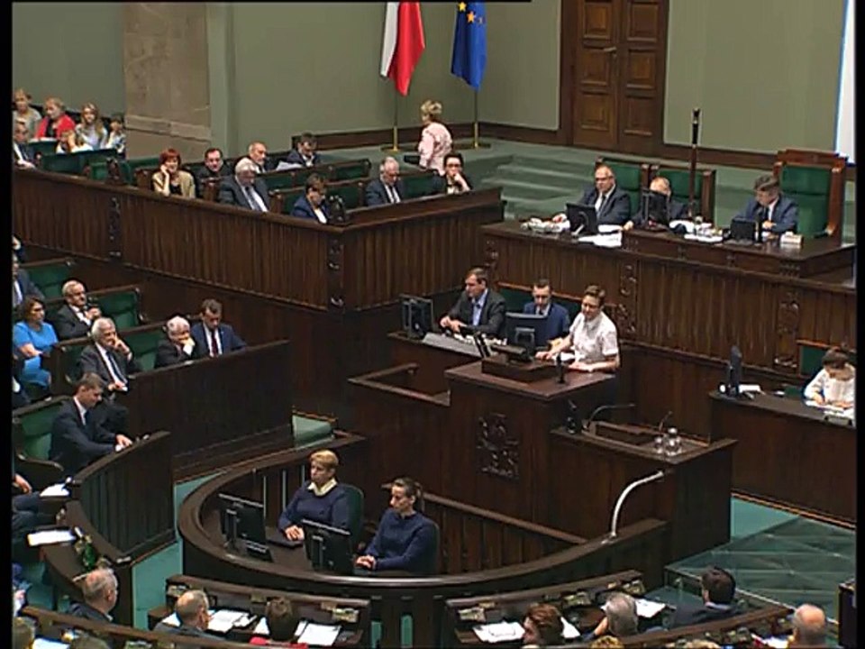 Poseł Katarzyna Lubnauer - Wystąpienie z dnia 23 czerwca 2016 roku.