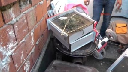 Edirne Esrar İmal Edip Satan Baba-oğlun Evine Operasyon