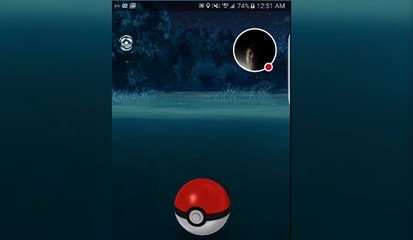 Il tombe dans l'eau en jouant à Pokémon Go