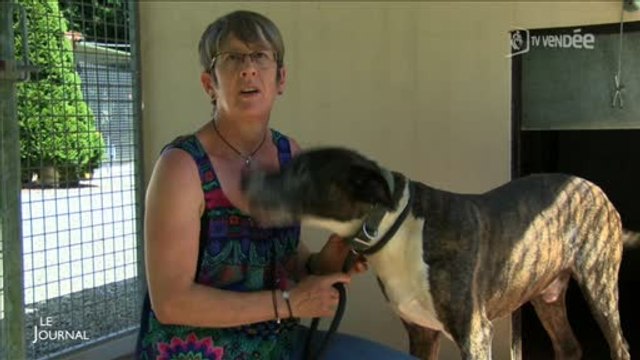 Vacances : Découverte d'un refuge pour animaux (Vendée)