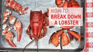 How To Break Down & Eat A Lobster