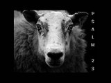 Psalm 23 Video in Pictures Words (Made for Good Shepherd Sunday Meditation)