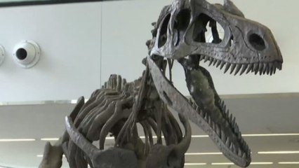 Arjantin’de yeni dinozor türü keşfedildi