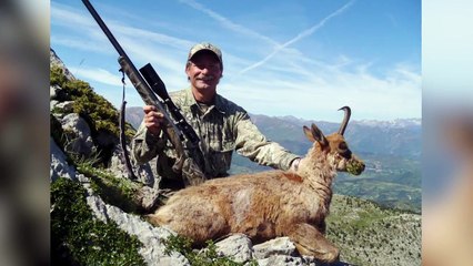 Top 10 Recently Extinct Animals