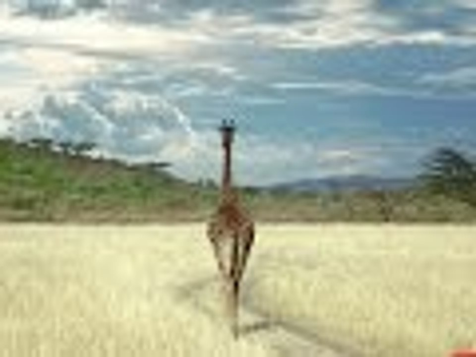 How Life Began | Full Documentary HD