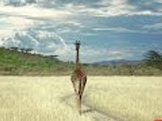 How Life Began | Full Documentary HD