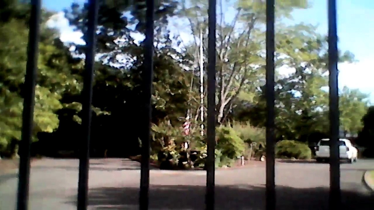 Day 2 Of Our Vacation To Bear Creek Country Part 3