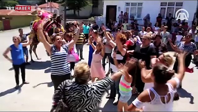 Roman damat gelin almaya deveyle gitti