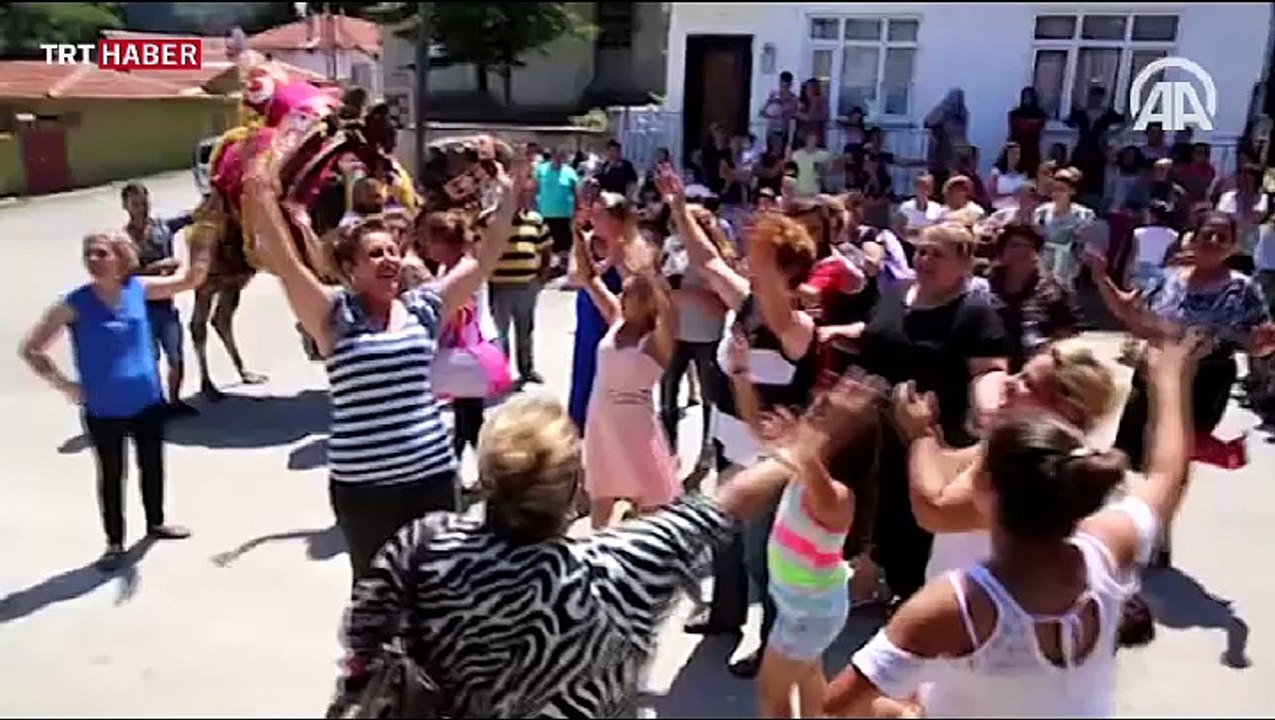 Roman damat gelin almaya deveyle gitti