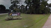 Dogs Break Into Zoo And Kill Three Monkeys
