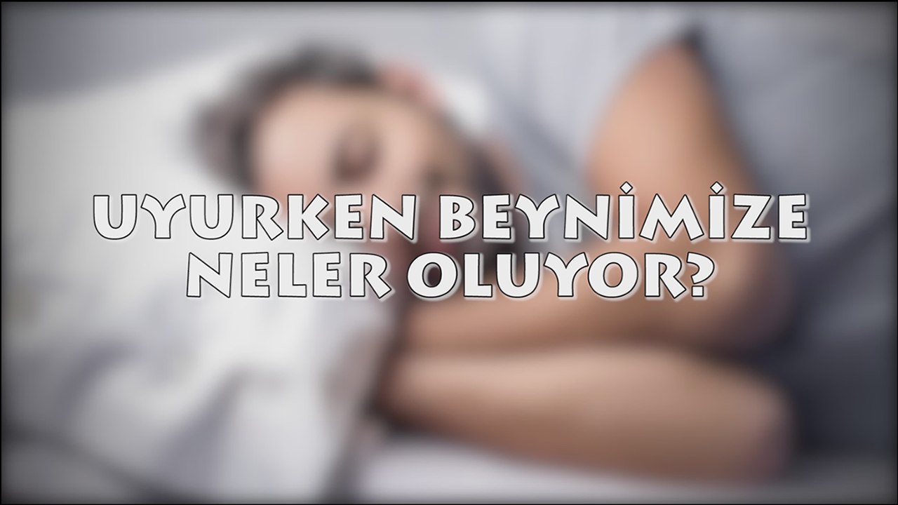 Uyurken Beynimize Neler Oluyor?