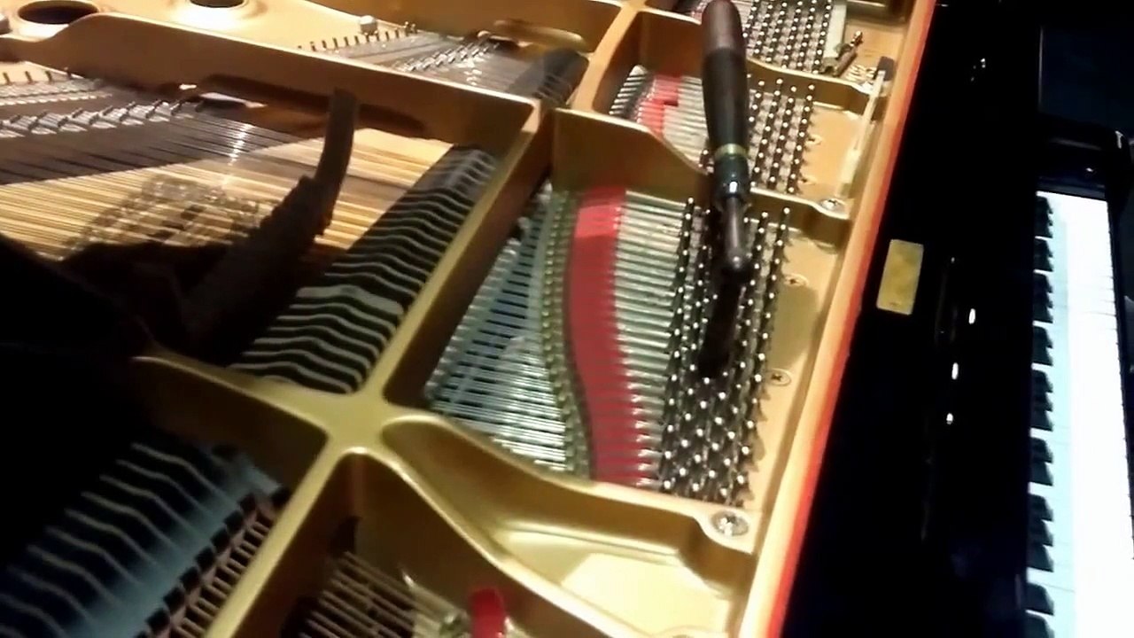 Ok d accord avec le quart de queue 2