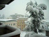 Super neve a Trento 27 GEN 2006 - 3