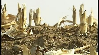 Feb 26, 2012 China_Drought affects main grain producing area in NE