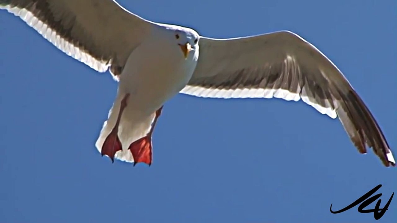 الله الله الله
