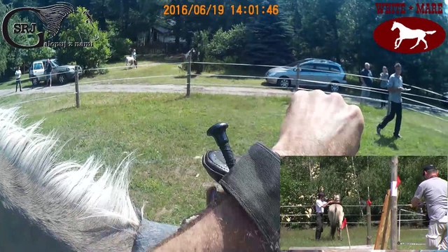 TREC Faza PTV- Rancho Navaho, Święte k/Konotopu, 2016-06-19