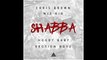 Chris Brown - Shabba Ft. WizKid, Hoody Baby & Section Boyz