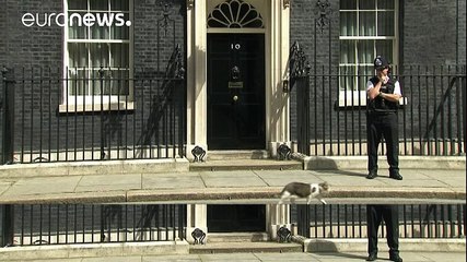 Le chat Larry reste au 10, Downing Street