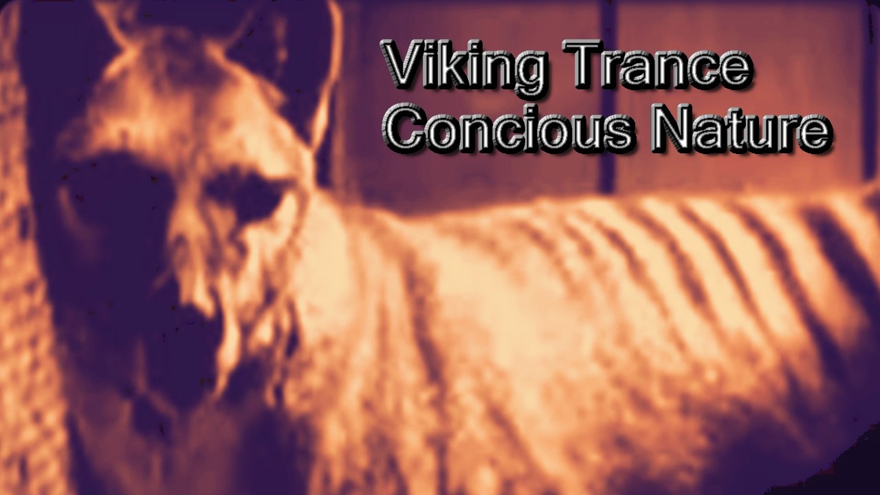 Viking Trance - Conscious Nature