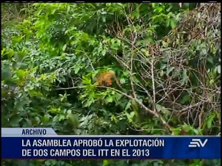 Glas anuncia aumento de reservas de petróleo en el bloque ITT