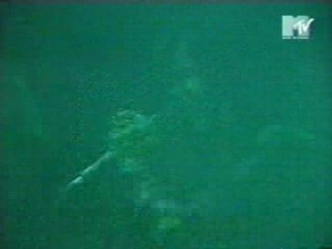 Cradle of Filth - Cruelty Brought Thee Orchids ( live ) rare