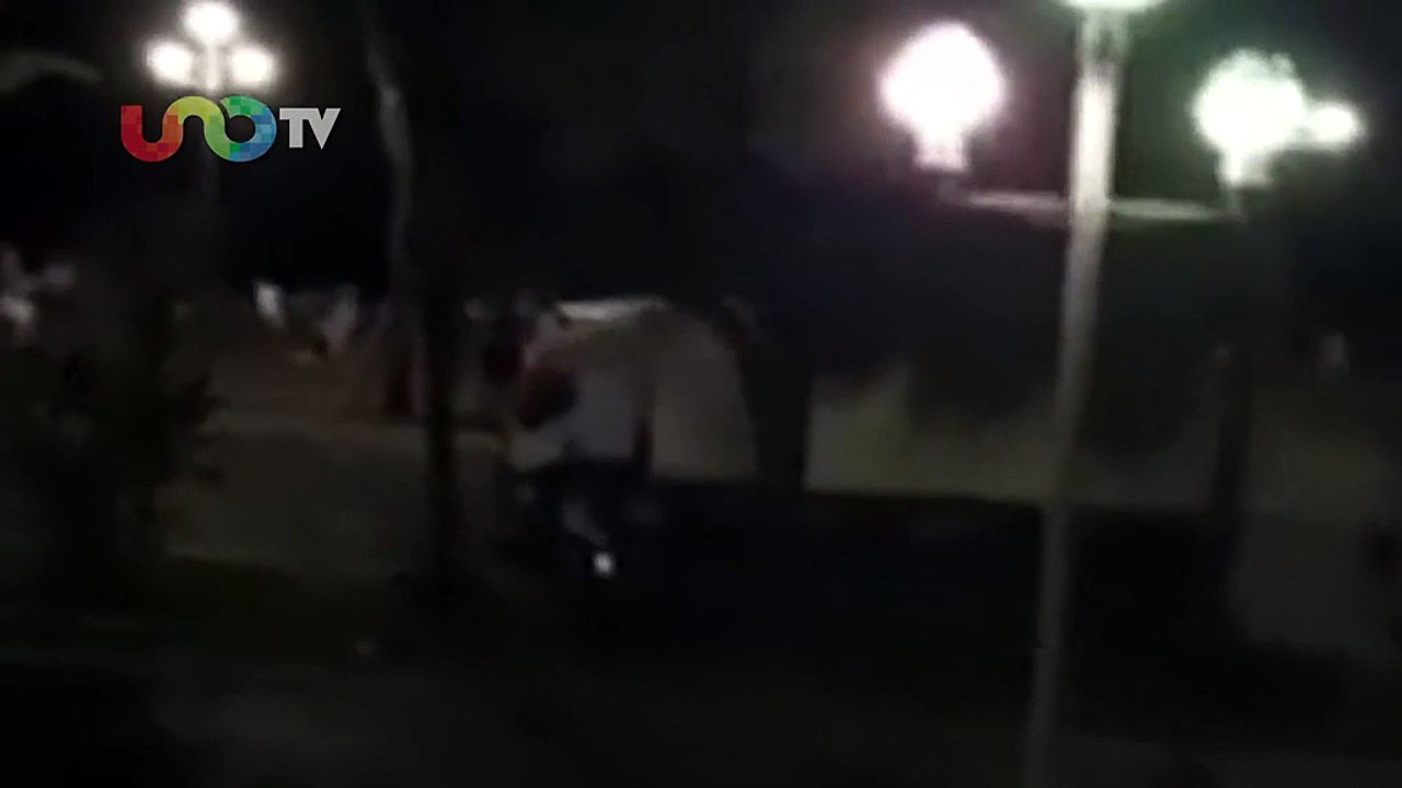 El momento en que camión impacta a multitud en Niza