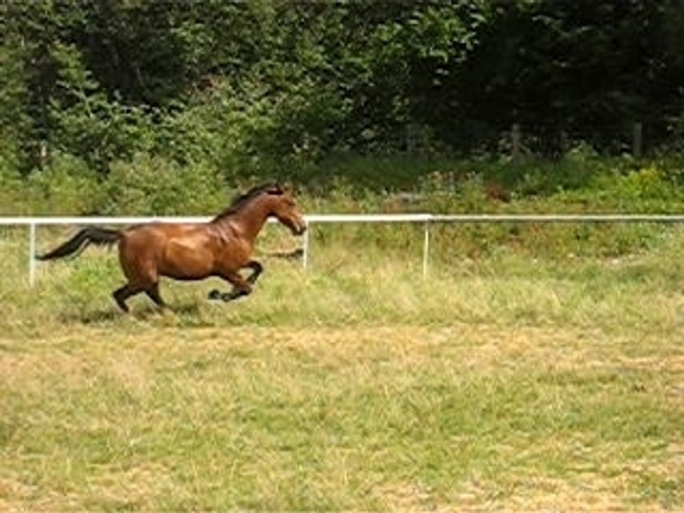 Carriere 086