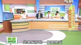 2013.07.27-TVBS-健康兩點靈-小心「皮蛇」纏身！帶狀疱疹不要來_1