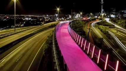 Easily The Most Beautiful Bike Path in The World
