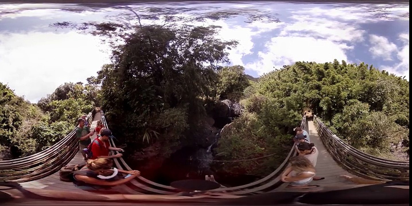 Cliff Jumping Kipahulu Maui 360 Video